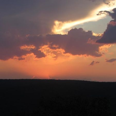Dinkweng Safari Lodge The Waterberg Biosphere Eksteriør bilde